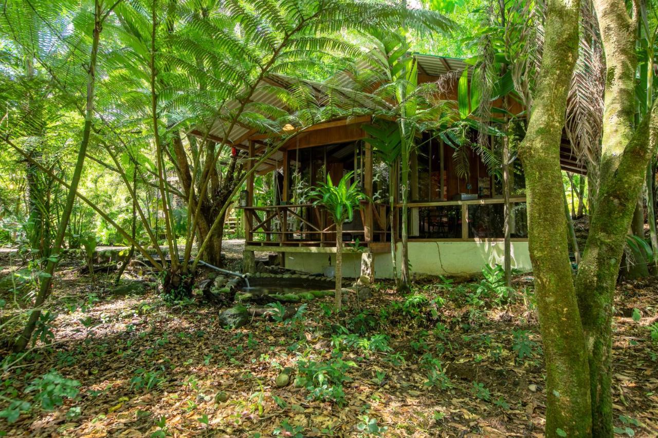 Cabanas Del Lago La Fortuna Exteriér fotografie