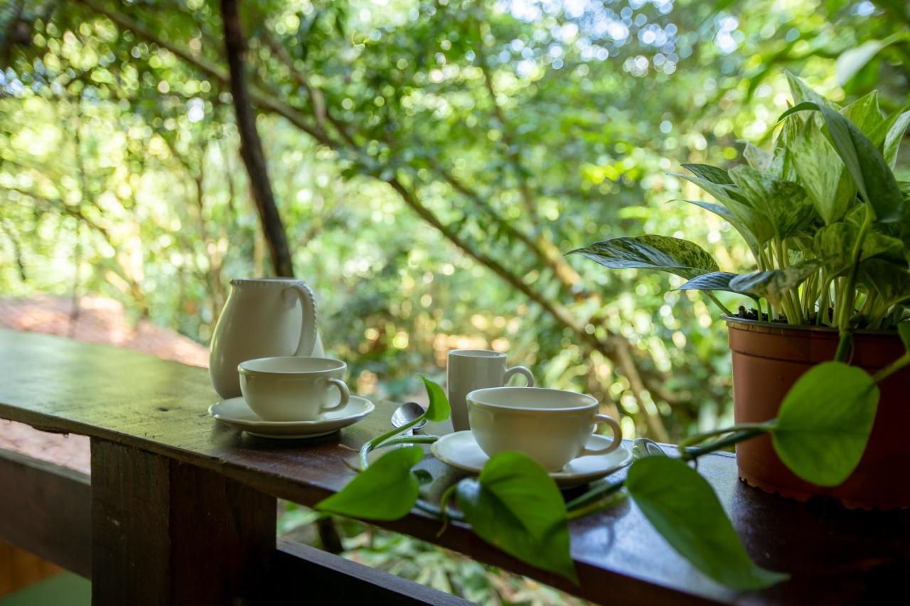 Cabanas Del Lago La Fortuna Exteriér fotografie