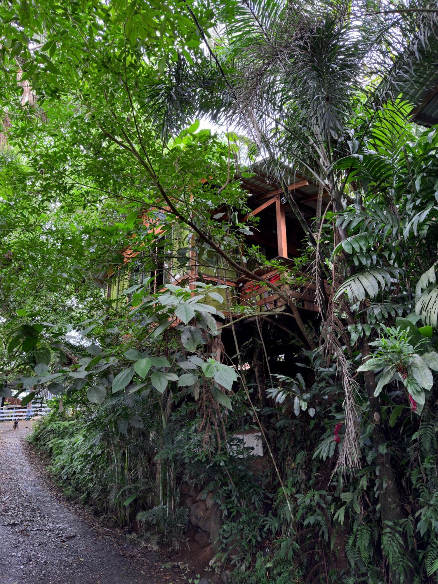 Cabanas Del Lago La Fortuna Exteriér fotografie