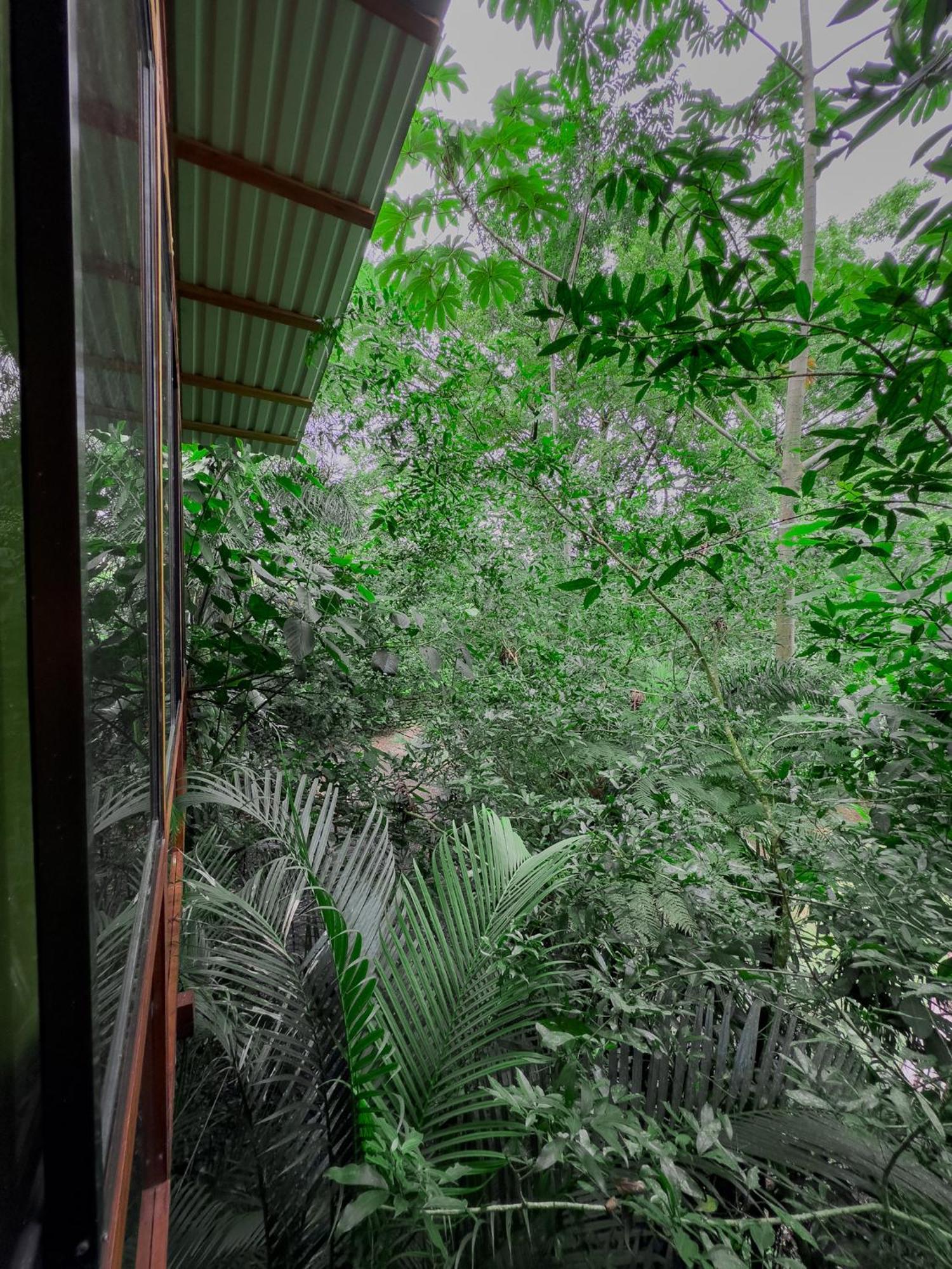 Cabanas Del Lago La Fortuna Exteriér fotografie